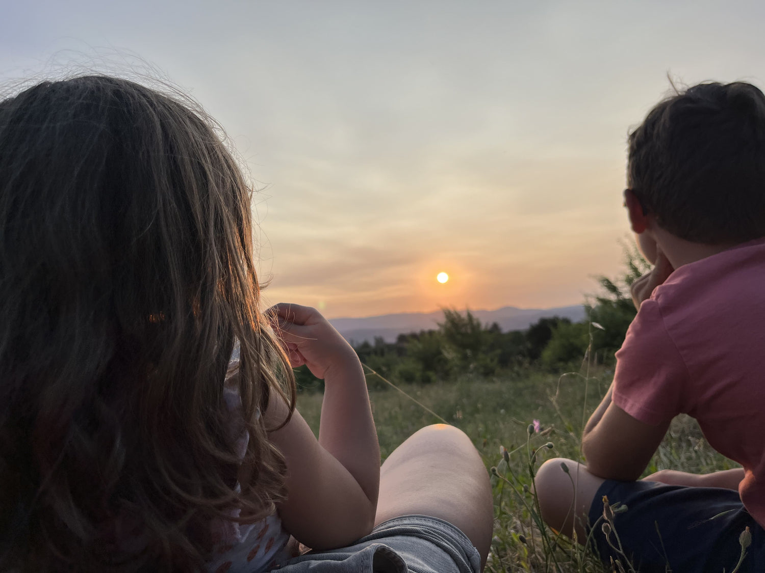 Fruits à Cliousclat